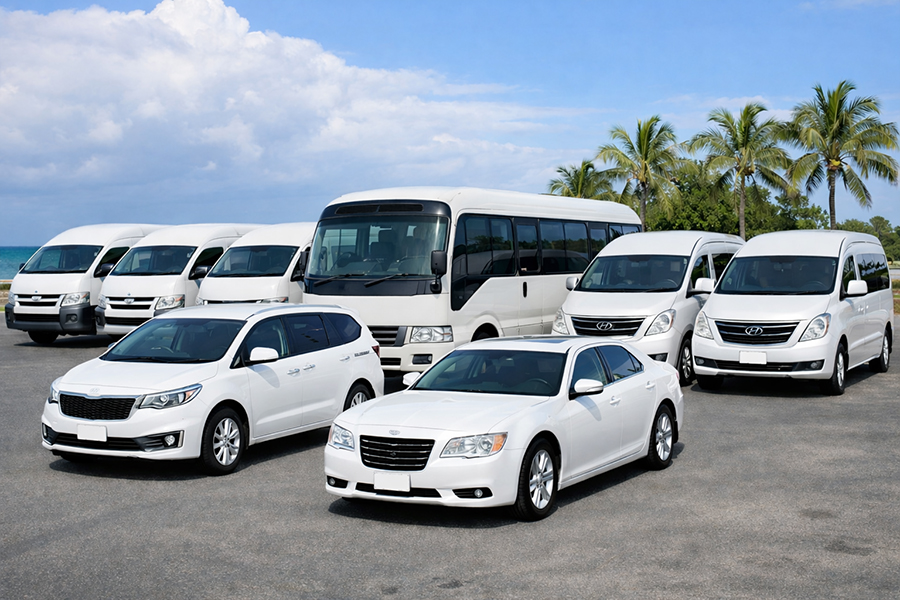 Car Rentals